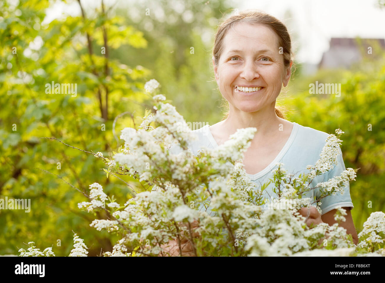 Happy mature gardener in Meadowsweet plant at garden Stock Photo