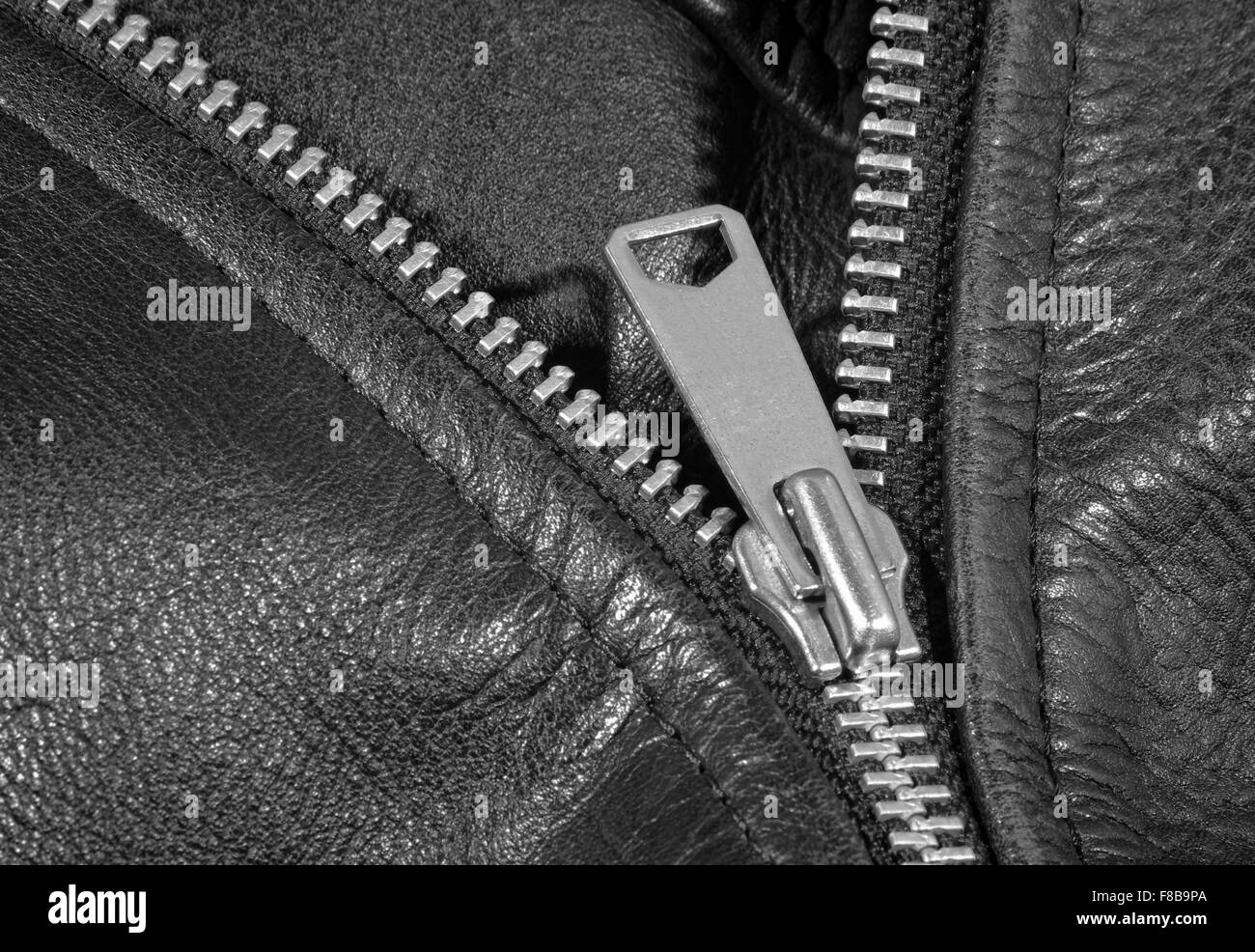 leather jacket zipper detail Stock Photo