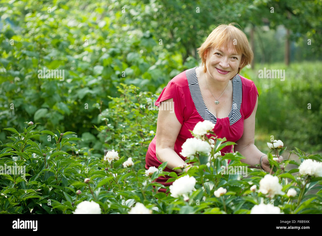 Happy mature woman in yard gardening with peony plant Stock Photo - Alamy