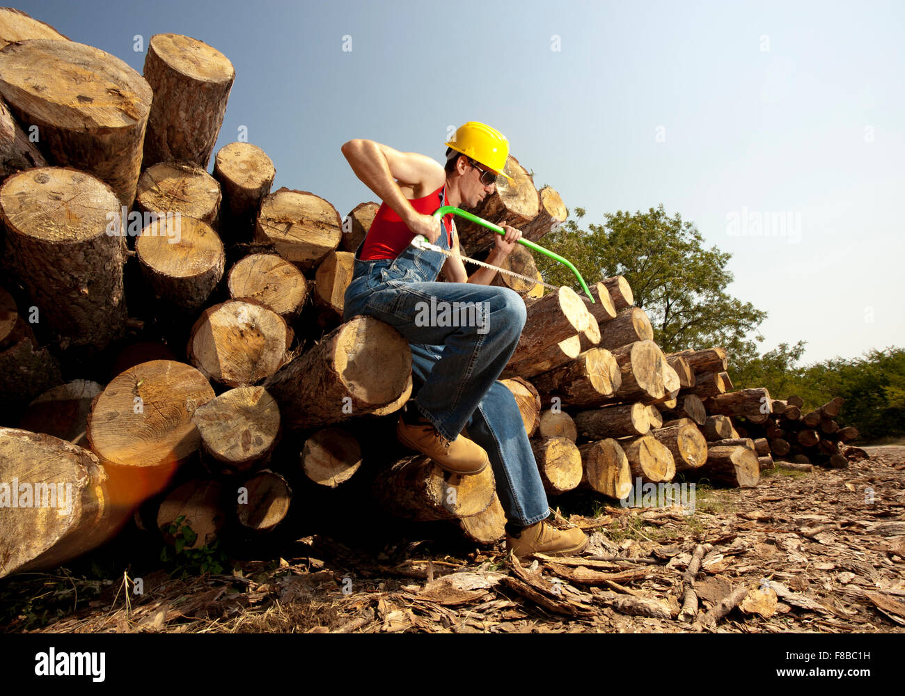 woodcutter cuts the tree in the forest Stock Photo - Alamy