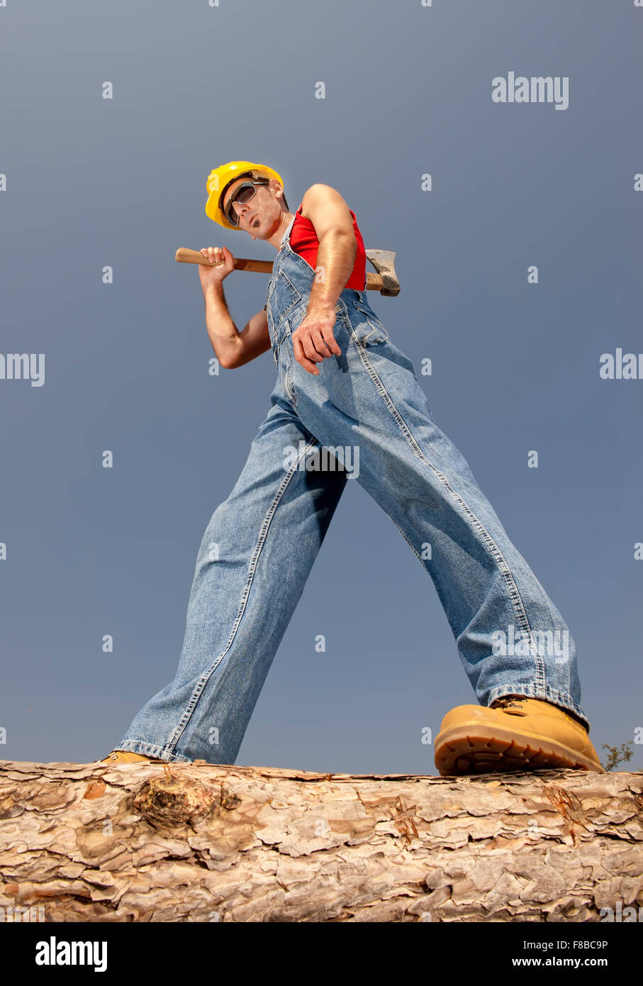woodcutter cuts the tree in the forest Stock Photo - Alamy