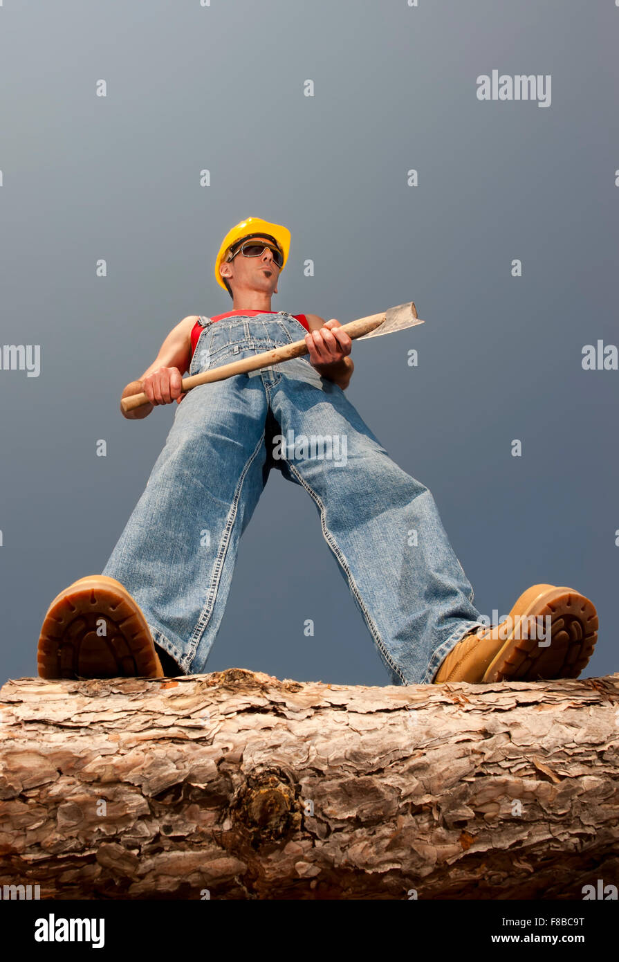 woodcutter cuts the tree in the forest Stock Photo - Alamy
