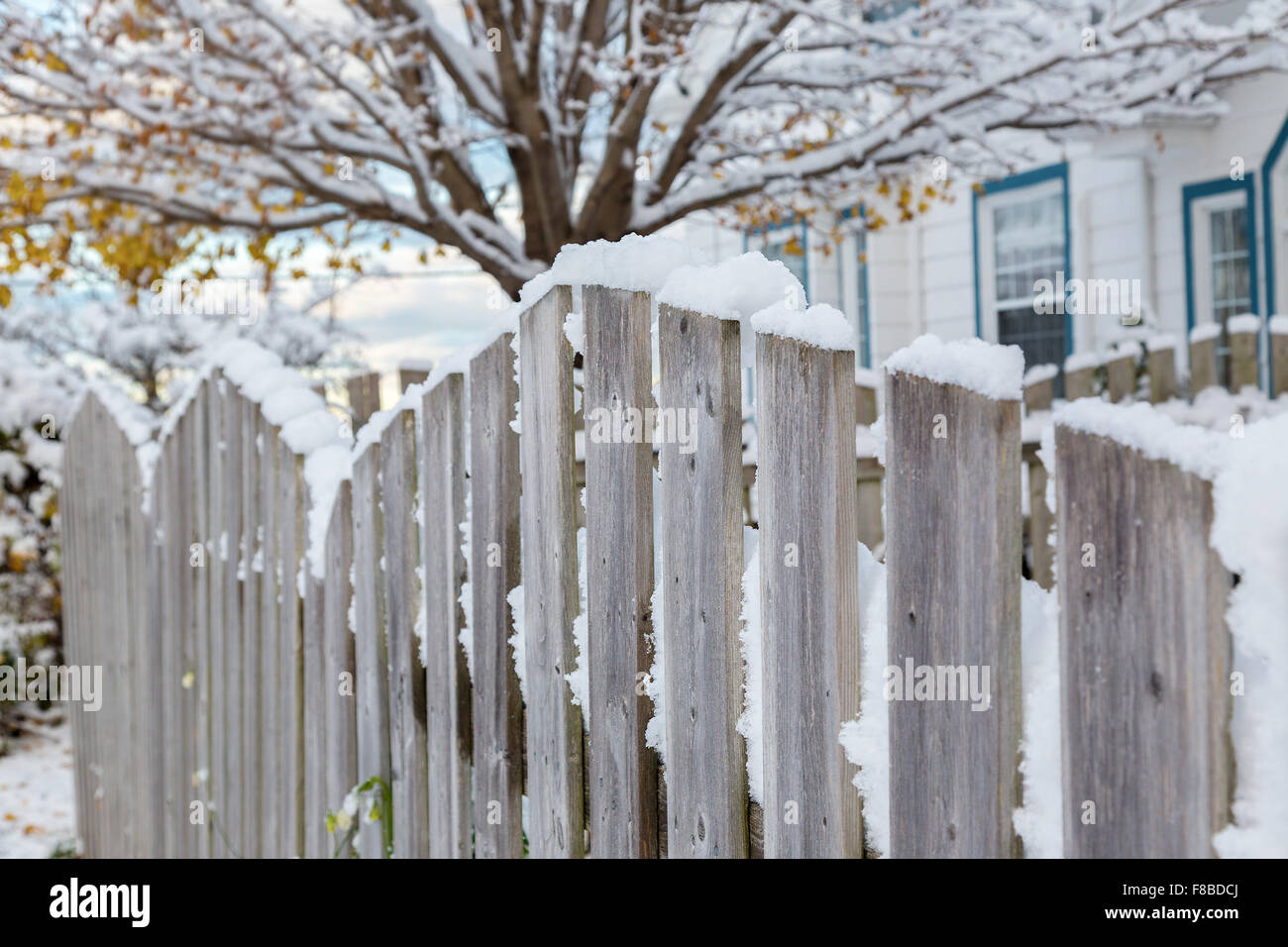 A wooden fence around a residential home's back yard. Stock Photo