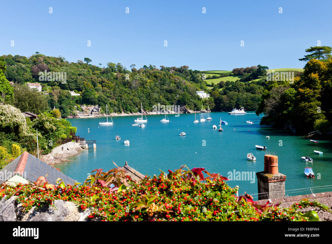 looking up turbo green prices like