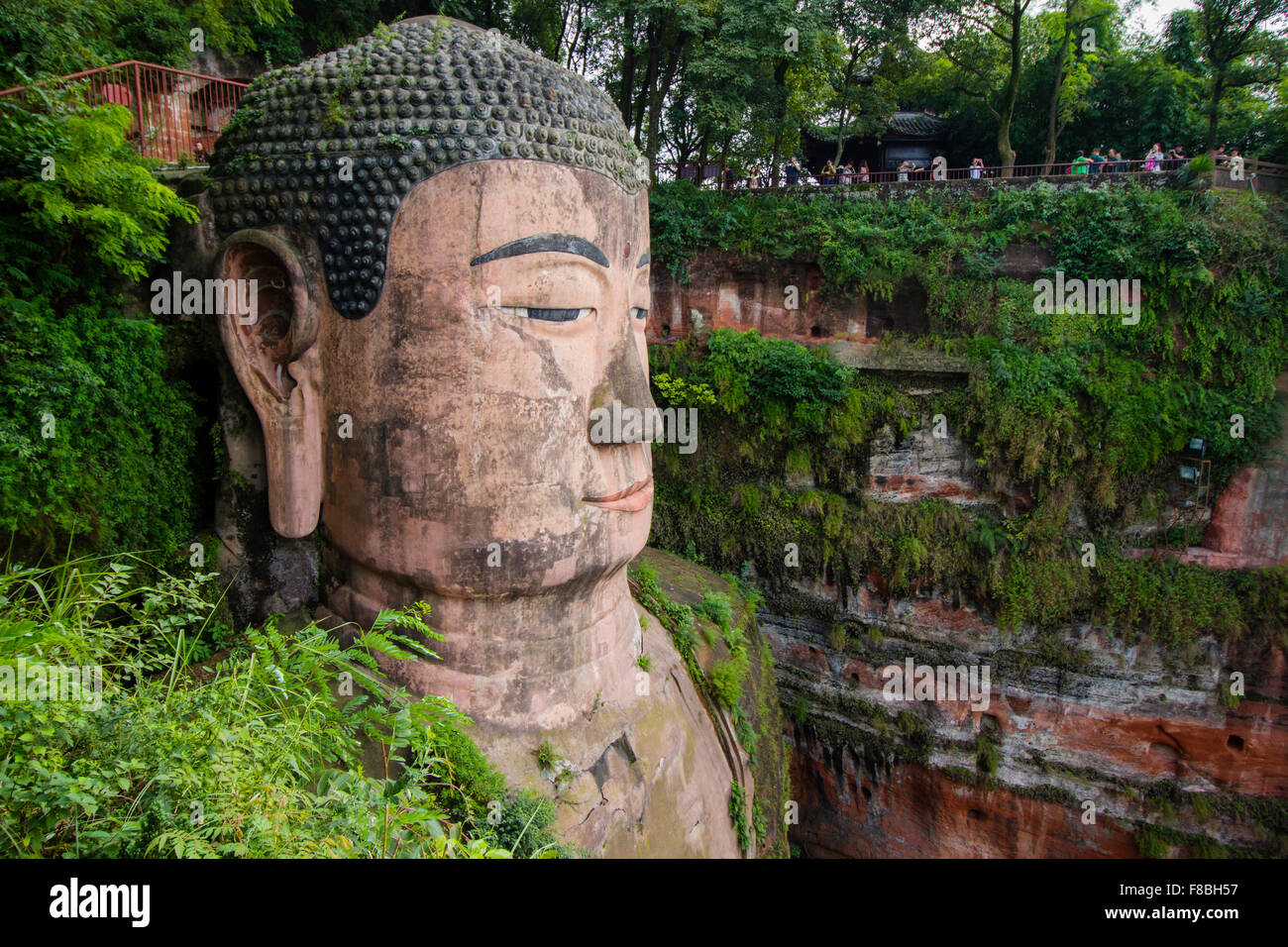 Leshan Giant Buddha - Head Detail Sichuan Province China LA008724 Stock Photo