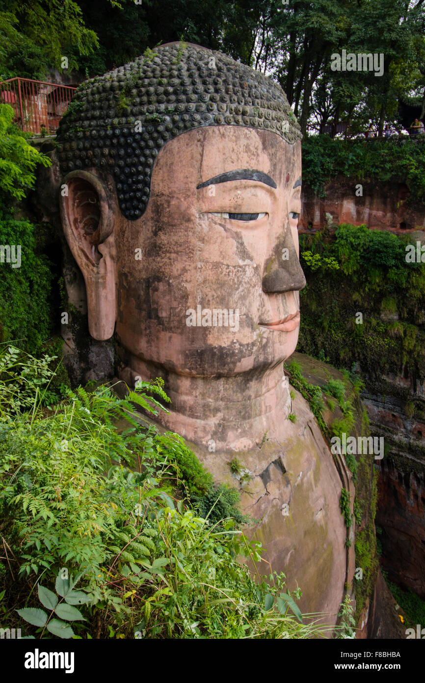 Leshan Giant Buddha - Head Detail Sichuan Province China LA008725 Stock Photo