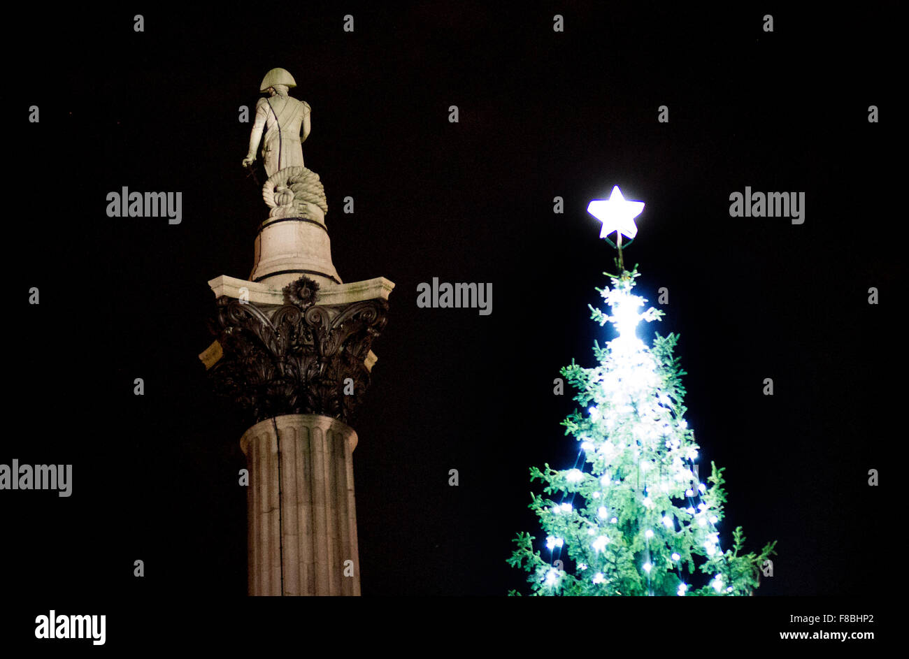 Trafalgar Square Christmas tree Nelson's Column Stock Photo