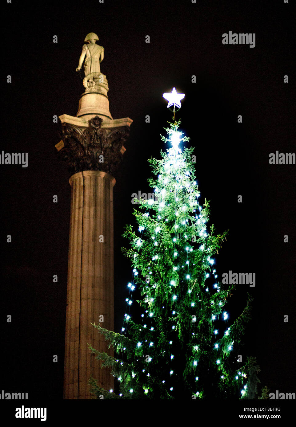 Trafalgar Square Christmas tree Nelson's Column Stock Photo Alamy