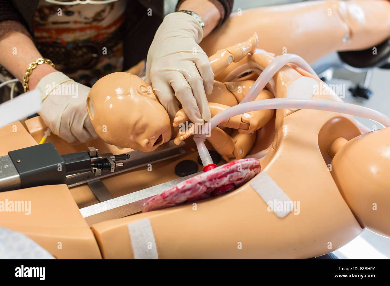 Student midwife delivering a baby mannequin from an adult mannequin, Both mannequins are equipped with sensors, sound and other devices designed to simulate many of the conditions of real childbirth, Limoges, France. Stock Photo
