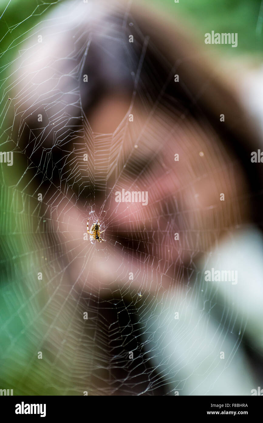 Conceptuel image of arachnophobia. Stock Photo