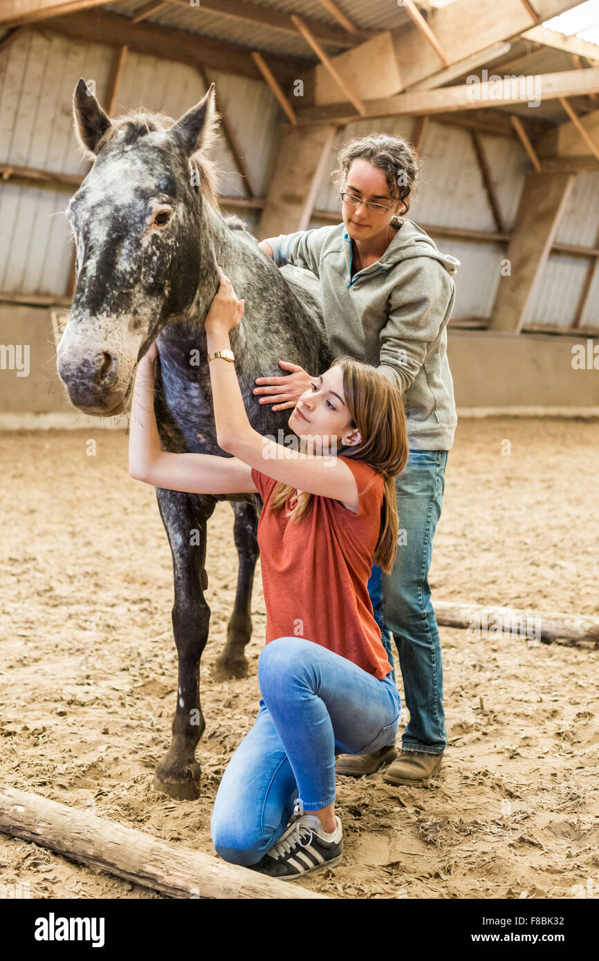 Young woman in horse therapy session with a therapist, Brie en Charente horseback riding, France. Stock Photo