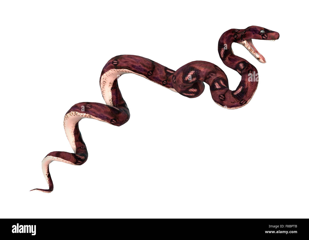 3d render snake hi-res stock photography and images - Alamy