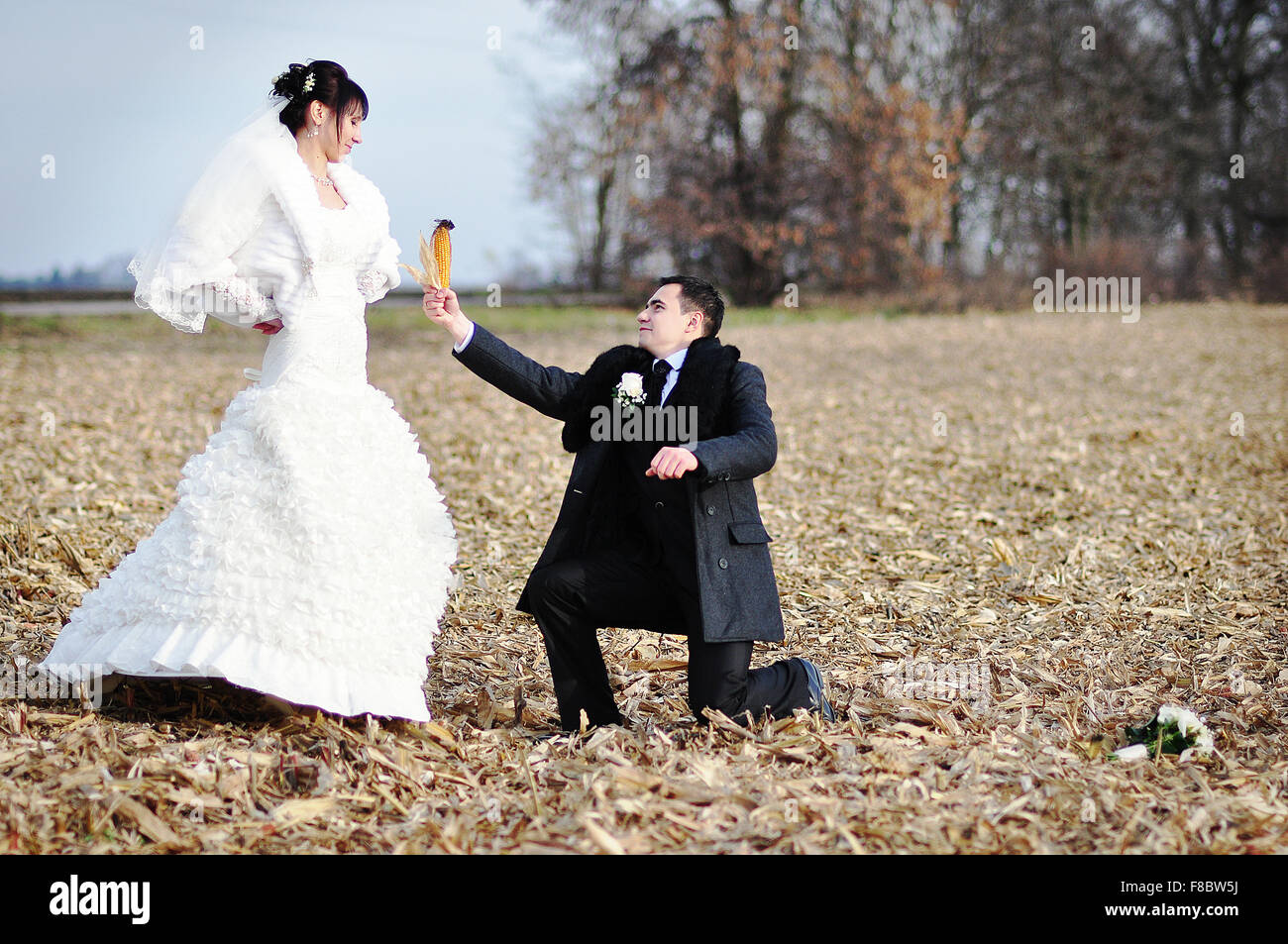 Happy and smiled wedding couple on corn field Stock Photo - Alamy