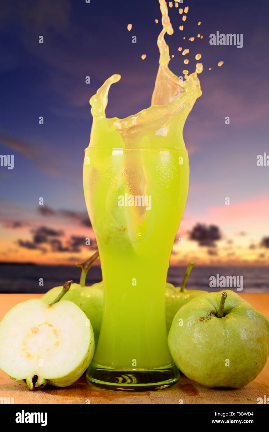 Can Dogs Drink Guava Juice