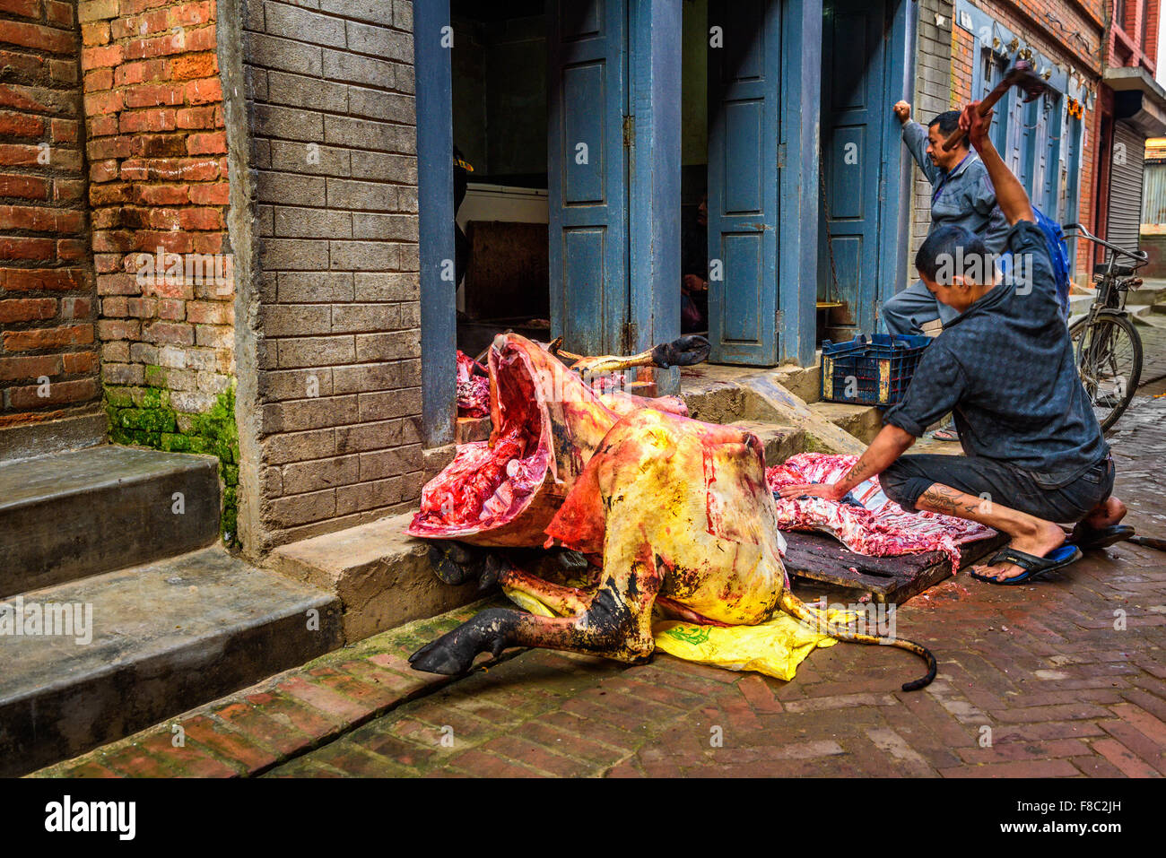 Nepalese butcher carves a cow in the street of Kathmandu Stock Photo