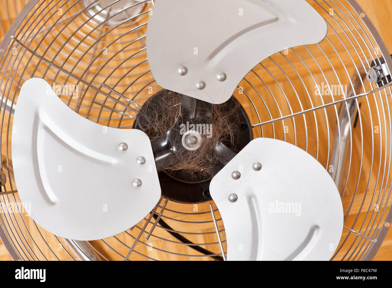 Hair tangled in a fan, household electric floor chrome fan machine with turning vanes making comfortable airflow, object dirty Stock Photo