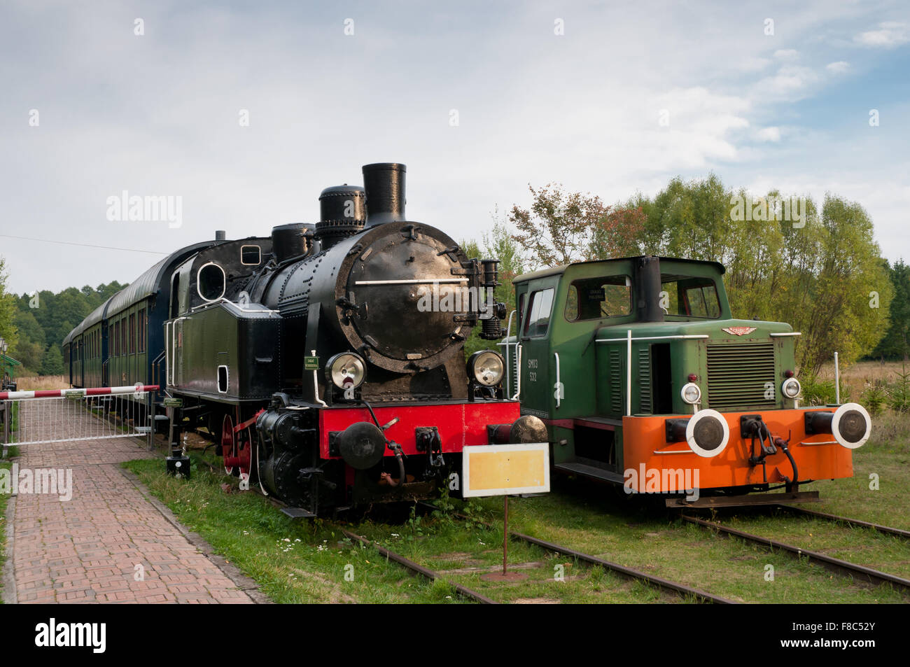 Two antique locomotives on station Bialowieza Towarowa, old cast iron horse black and green vehicles of PKP... Stock Photo