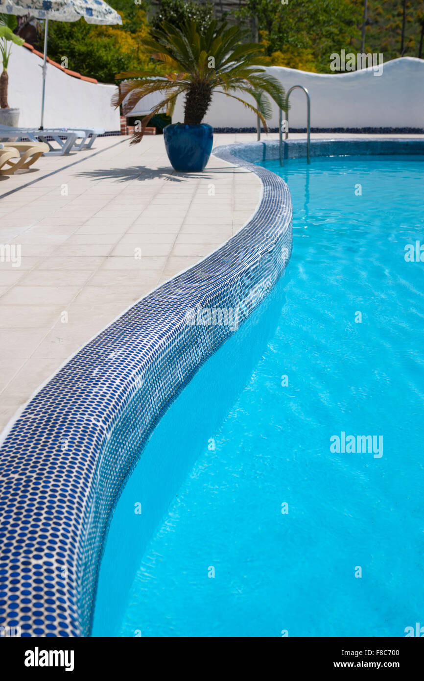 Landscape of blue color outdoor swimming pool with gentle waves with plant pot Stock Photo