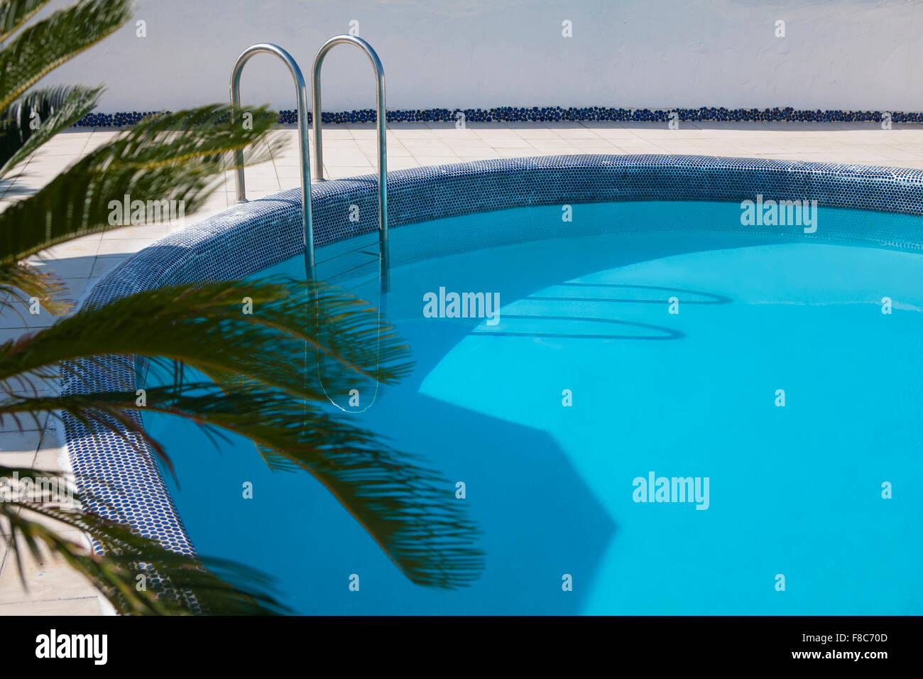 Blue color of outdoor swimming pool with palm tree at the corner of the picture Stock Photo