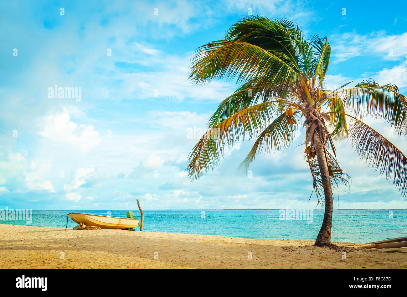 boat resting on beautiful caribbean beach with palm tree with clear blue sky Stock Photo