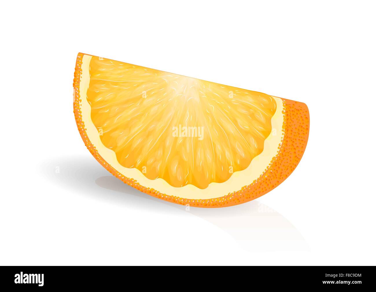 fresh orange slice on a white background Stock Vector Image & Art - Alamy