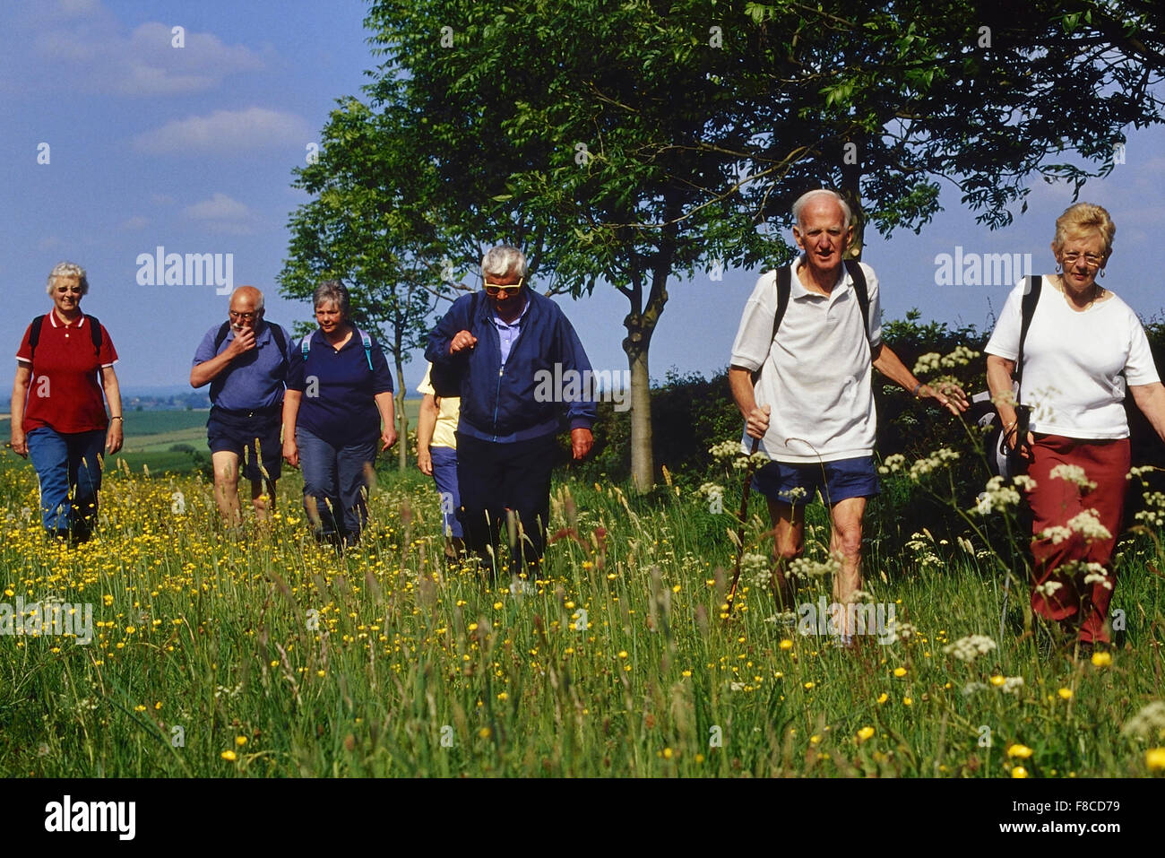 Elderly ramblers. Lincolnshire Wolds. England. UK Stock Photo