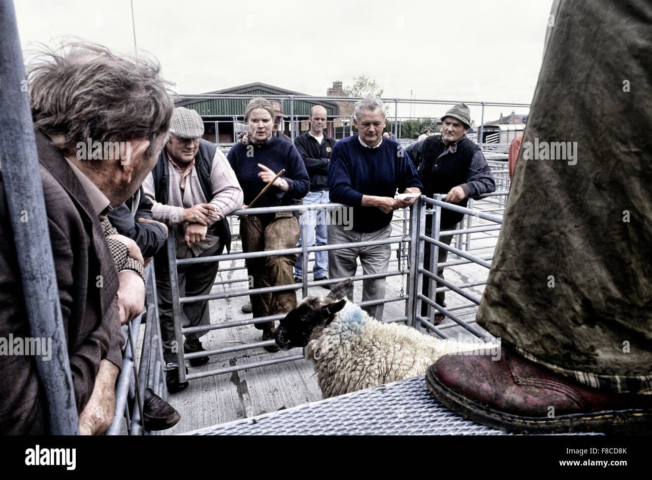 Louth livestock market actioneers. Louth. Lincolnshire. England. UK
