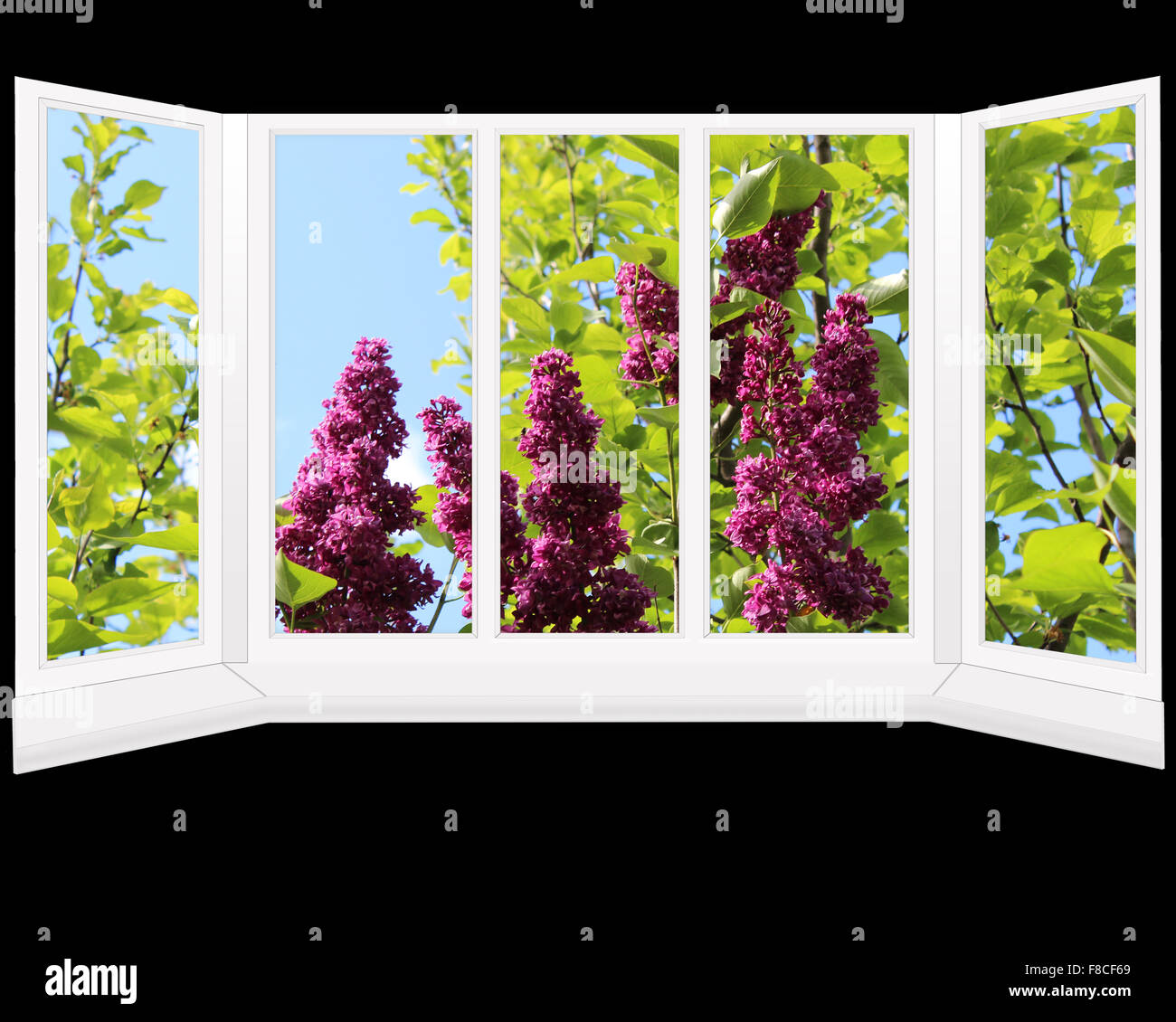windows overlook to the garden with big bush of lilac Stock Photo