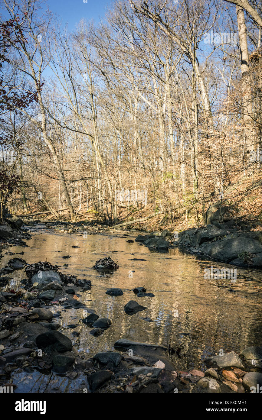 Sligo Creek in Maryland Stock Photo Alamy