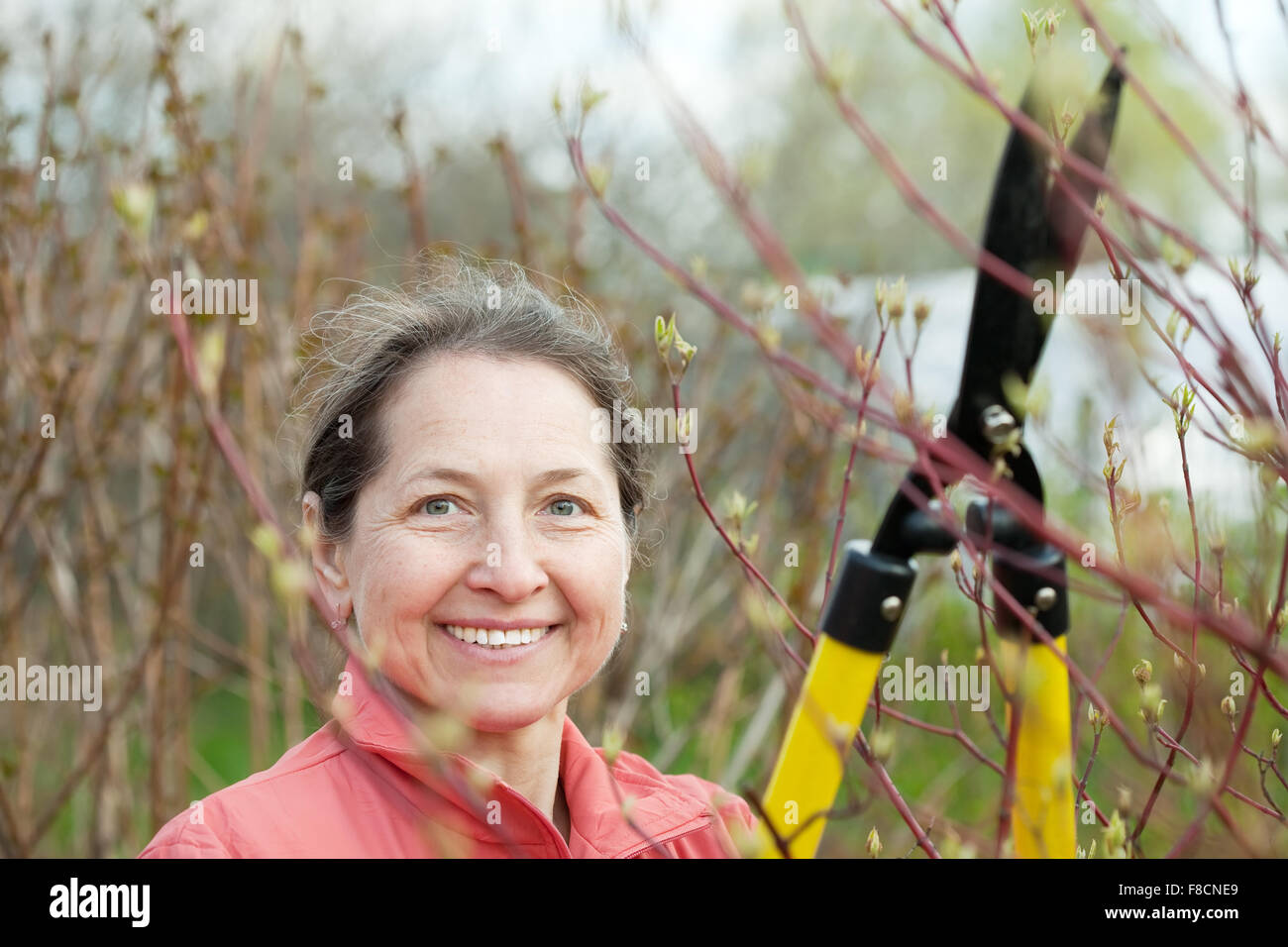 Профессия подстригать кусты. Обрезка женщины. Обрезка женщины. Женщины на обрезке деревьев. Женщина с секатором.
