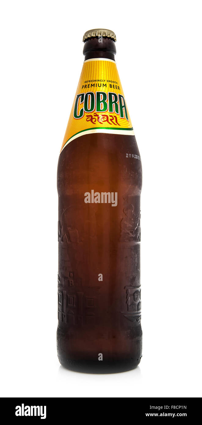 Cobra Premium beer on a white background, Cobra 5.0% Premium Beer is brewed to an authentic Indian recipe Stock Photo