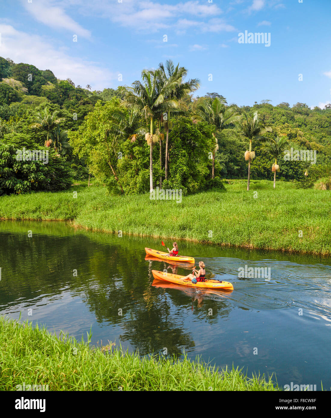 Kayaker explore the Hanalei River on Kauai Stock Photo