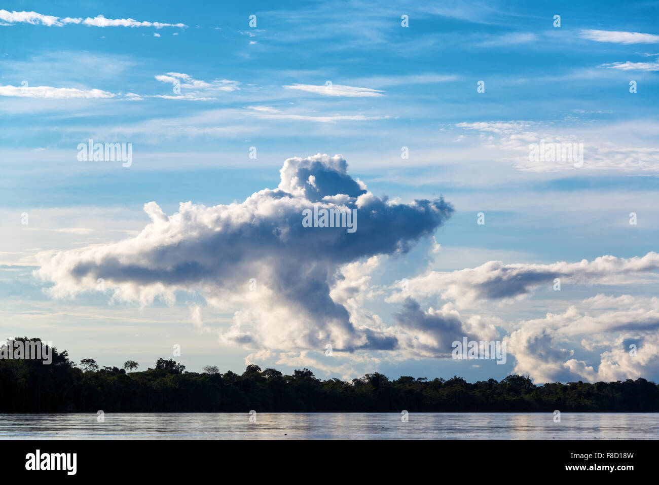 Dramatic clouds in the Amazon rain forest in Brazil Stock Photo Alamy
