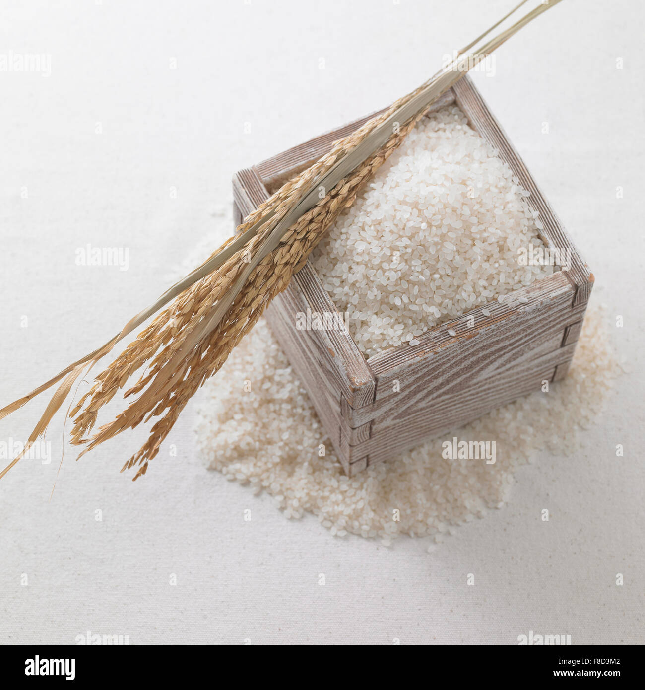 Full of grains of rice in wood container and rice plant on it Stock