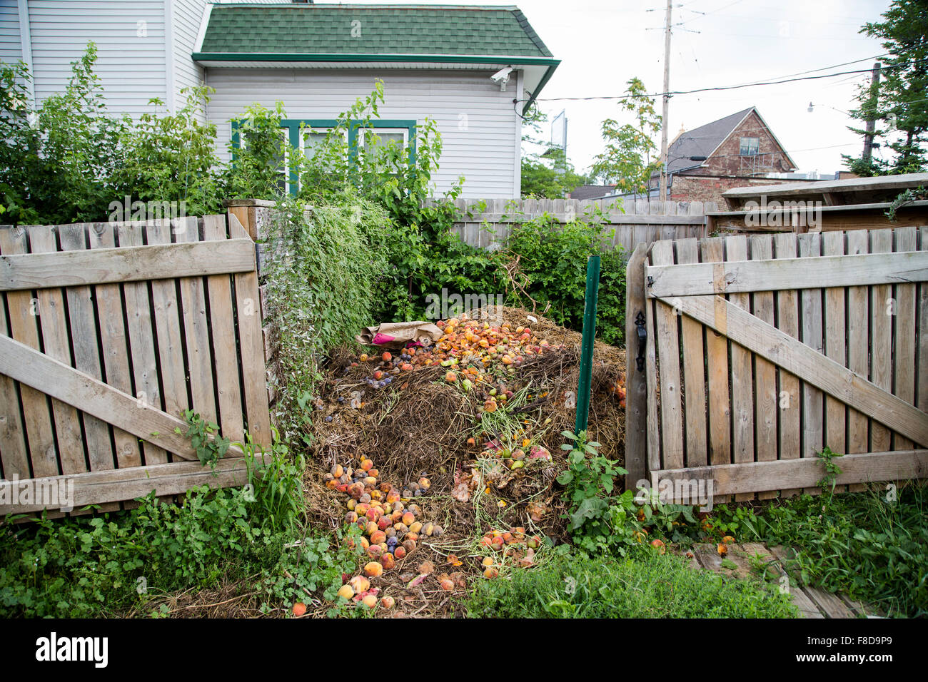 An Active Community Compost Pile Sits In The Backyard Of An Urban