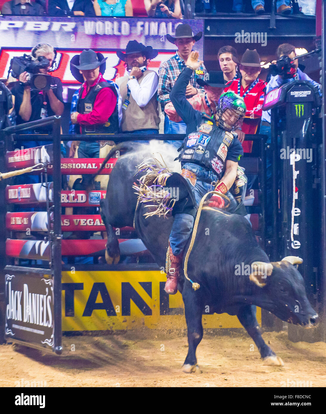Cowboy Participating in the PBR bull riding world finals. The bull