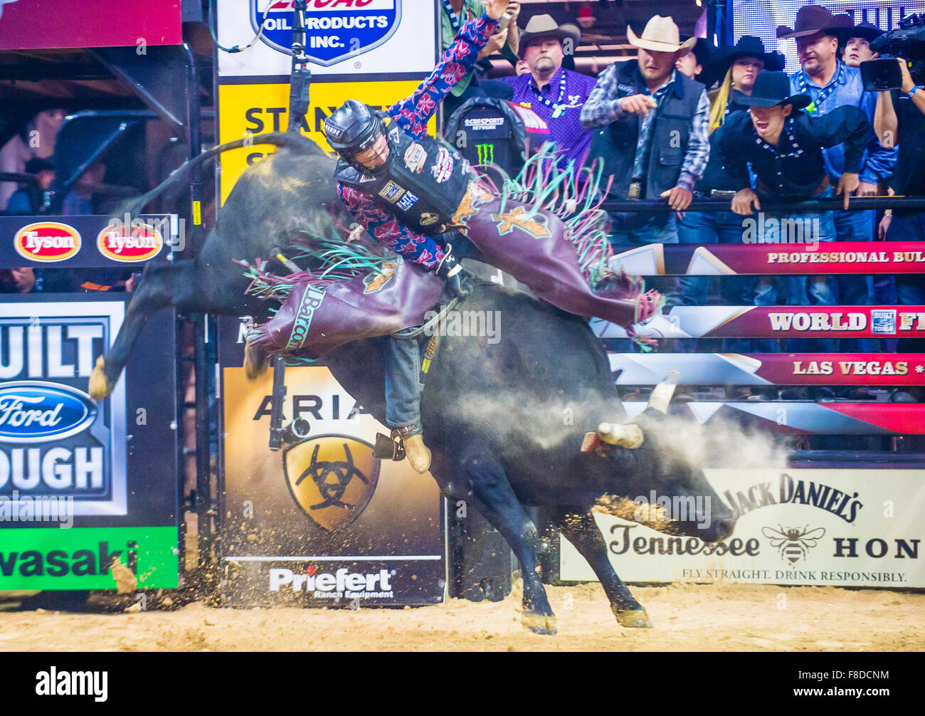 Cowboy Participating in the PBR bull riding world finals. The bull
