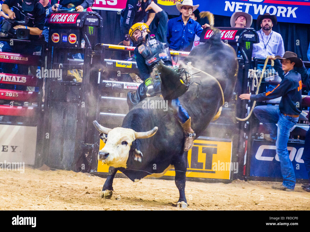 Cowboy Participating in the PBR bull riding world finals. The bull