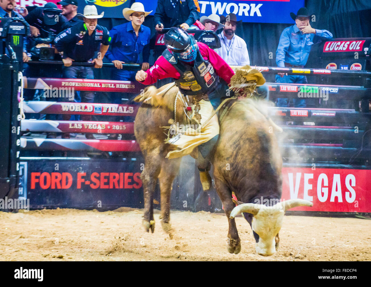 Cowboy Participating in the PBR bull riding world finals. The bull