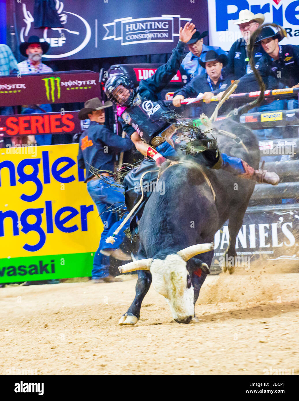 Cowboy Participating in the PBR bull riding world finals. The bull