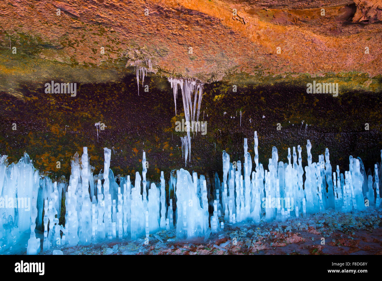 Ice forms at a spring, Arches National Park, Utah, Rare ice forms after periods of intense cold spring, Arches National Park, Ut Stock Photo