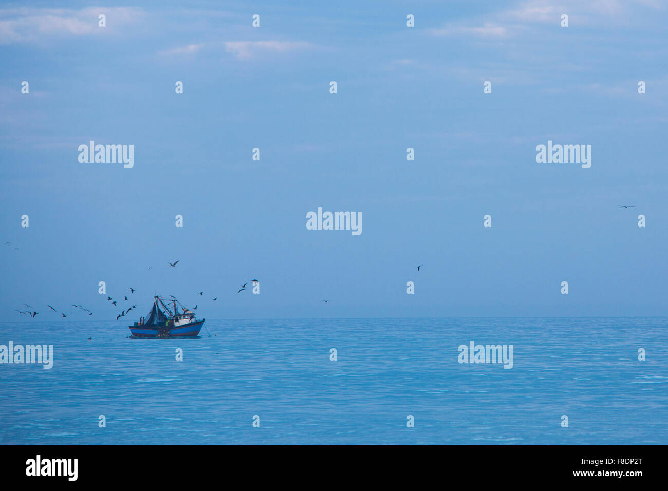 Fisher ship, blue Pacific Ocean and many birds flying over, Peru Stock Photo