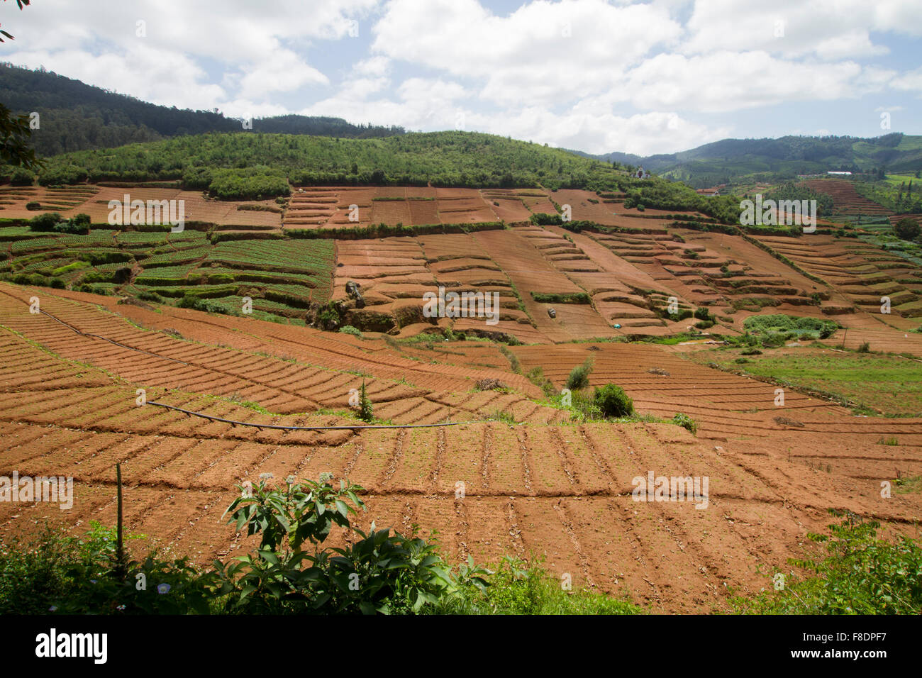Tamilnadu agricultural land hires stock photography and images Alamy