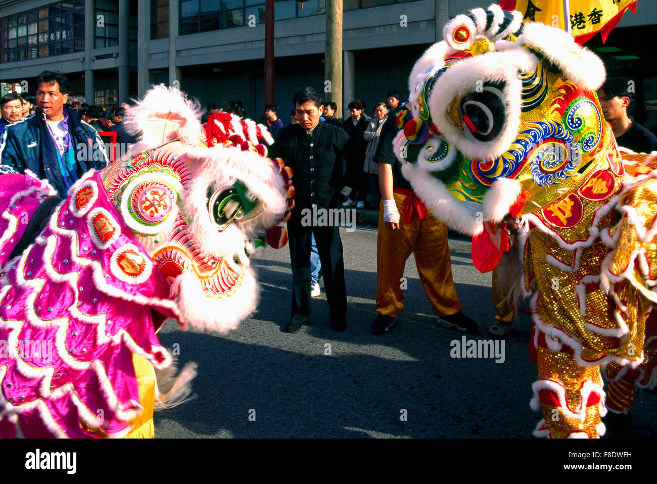 Chinese New Year Lion Dance (aka Dragon Dance) at Parade and Celebration - Chinatown, Vancouver, BC, British Columbia, Canada Stock Photo
