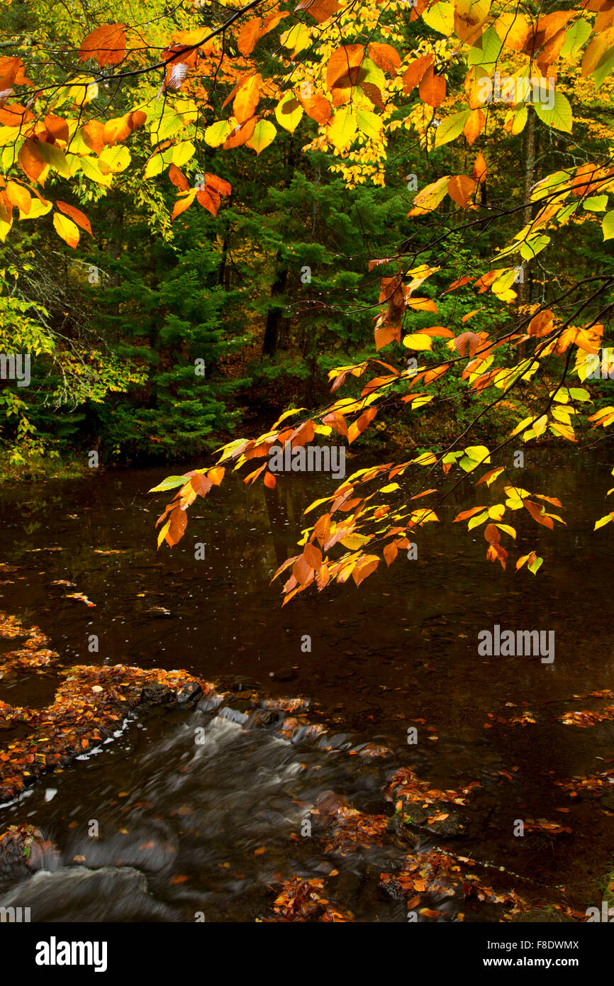 Laughing Whitefish River, Laughing Whitefish Falls State Scenic Site