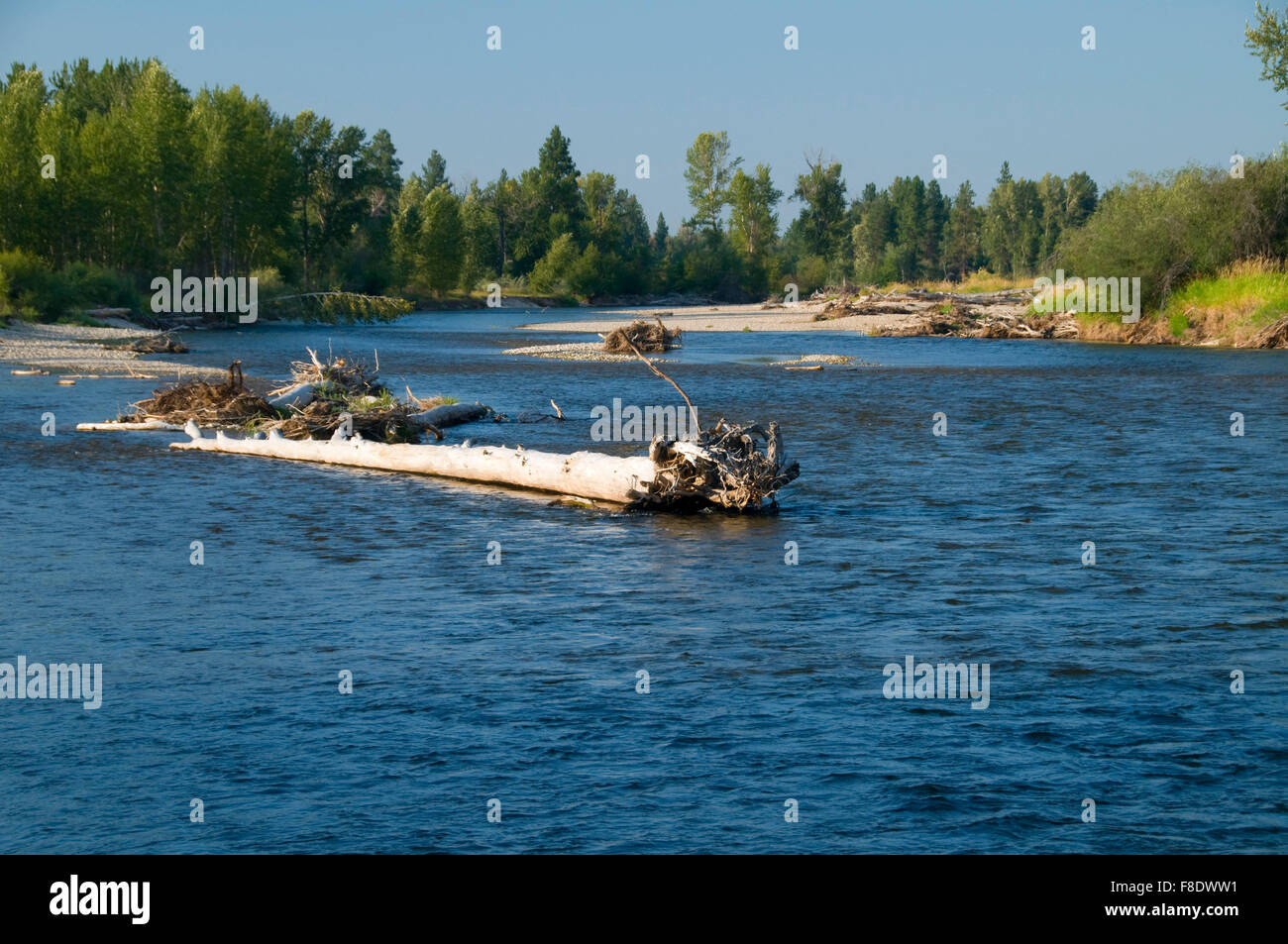Bitterroot River Darby Bridge Fishing Access Site Ravalli County Montana Stock Photo Alamy