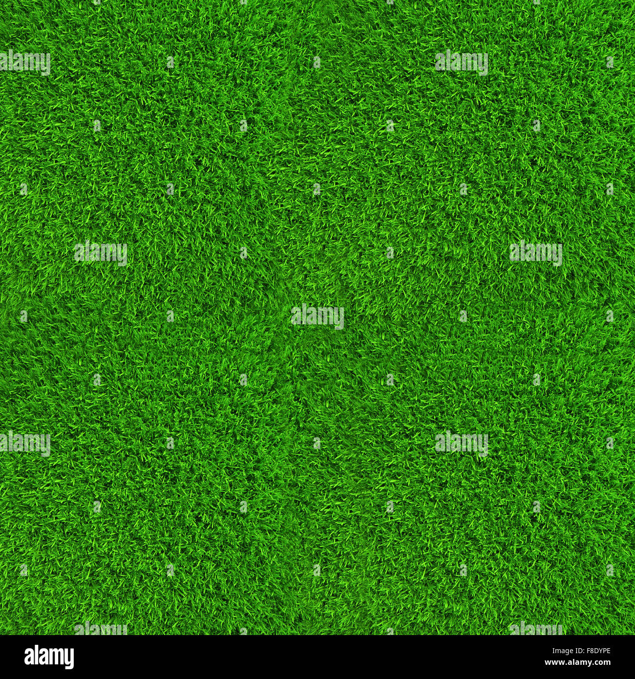Green lawn grass background texture high resolution Stock Photo