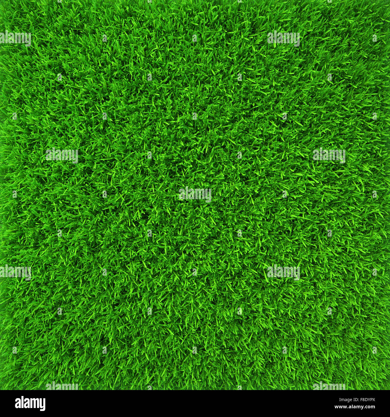Green lawn grass background texture close-up. 3d render Stock Photo
