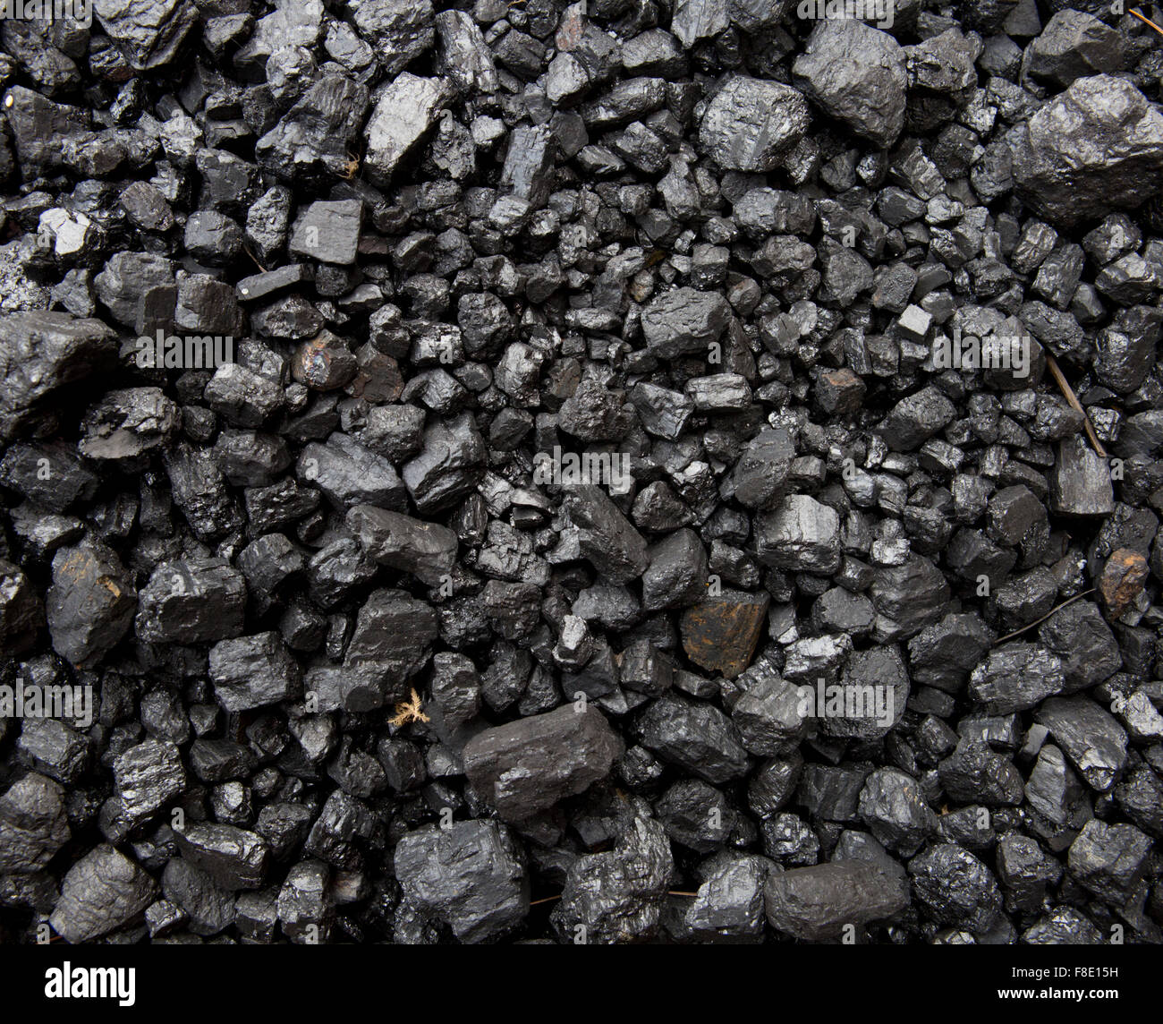 Pieces of coal. Stock Photo