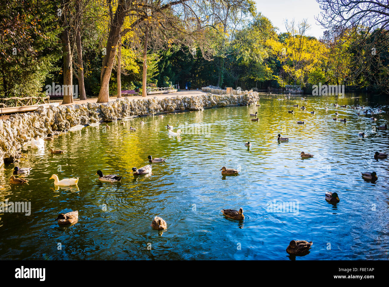The pond. The 'Campo Grande' is a large public park located in the heart of the city of Valladolid. Castile and Leon, Spain. Stock Photo